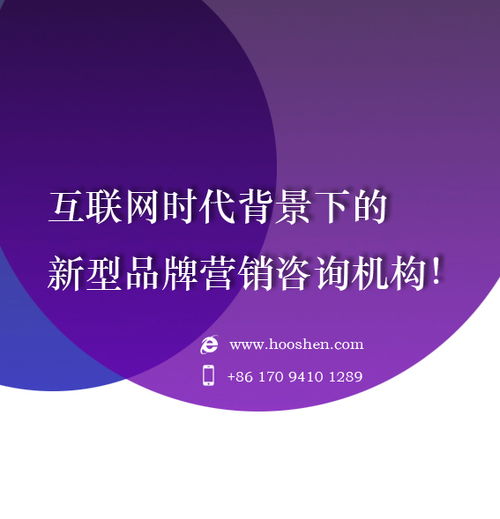 2024年十大網絡廣告投放公司排名與選擇指南